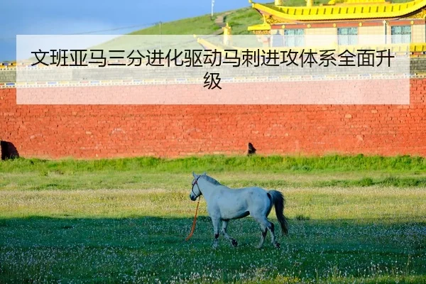 wen-ban-ya-ma-san-fen-jin-hua-qu-dong-ma-ci-jin-gong-ti-xi-quan-mian-sheng-ji-2-450.jpg