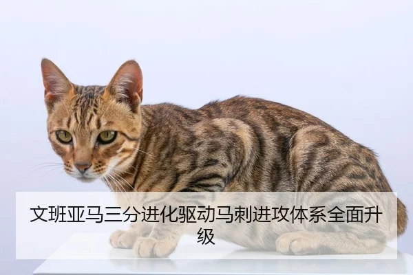 文班亚马三分进化驱动马刺进攻体系全面升级
