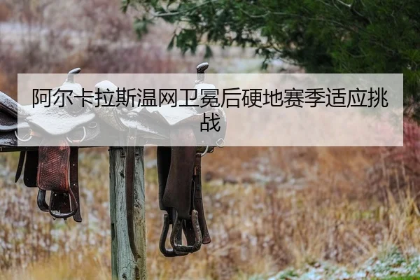 a-er-ka-la-si-wen-wang-wei-mian-hou-ying-di-sai-ji-shi-ying-tiao-zhan-2-586.jpg